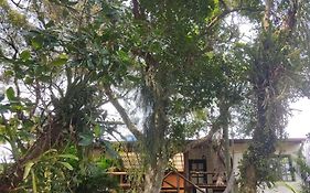 Nalua Guest House